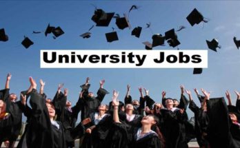 University Jobs