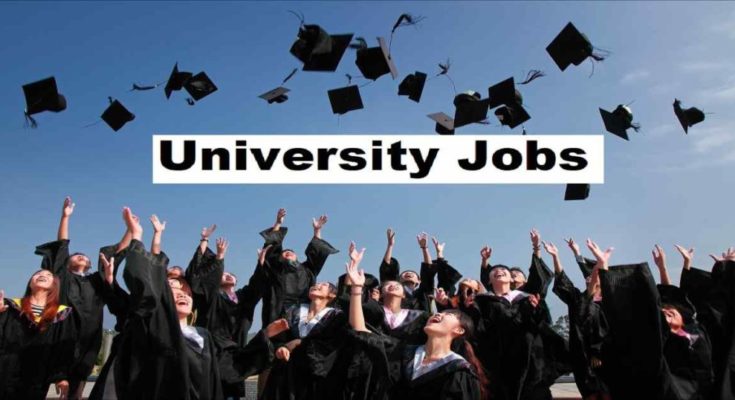University Jobs